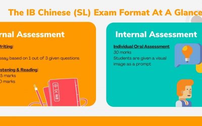 IB Chinese – The Complete Guide to IB Chinese (SL) in Singapore
