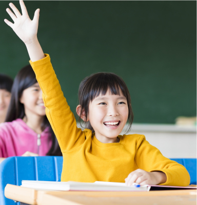 Categories of IB Tuition which MindFlex Offers